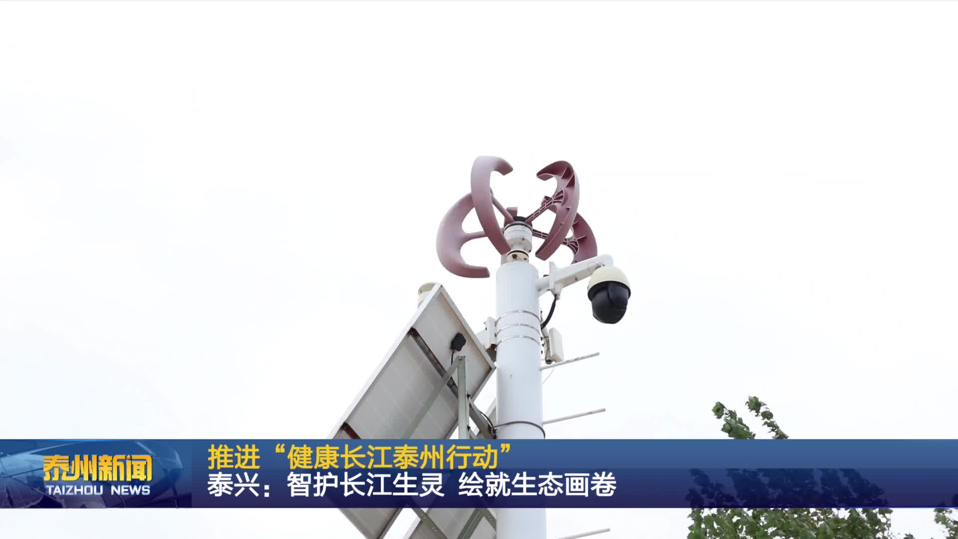 推进“健康长江泰州行动”  泰兴：智护长江生灵 绘就生态画卷